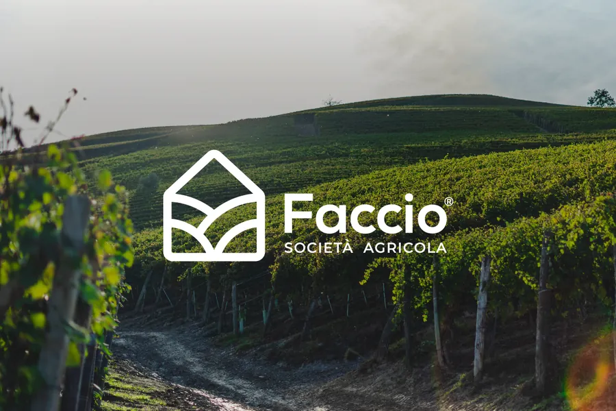 I campi della Società Agricola Faccio al tramonto