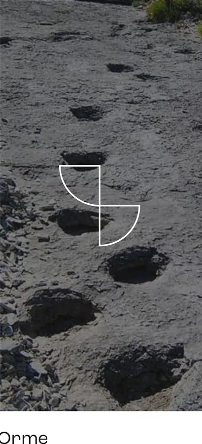 Simbolo composto sul tema delle orme
