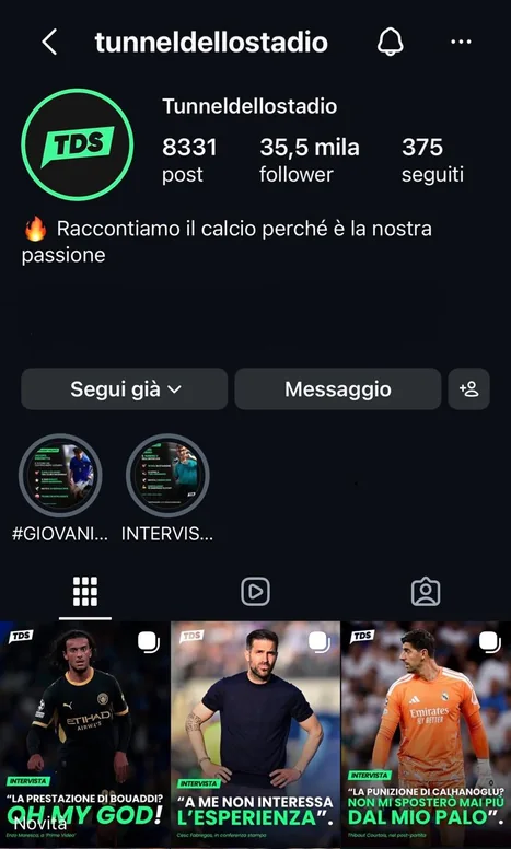 Il profilo Instagram di Tunnel dello Stadio visto dal telefono: il marchio TDS in tondo, 8.331 post, 35,5 mila follower, la frase Raccontiamo il calcio perché è la nostra passione e la prima riga di post